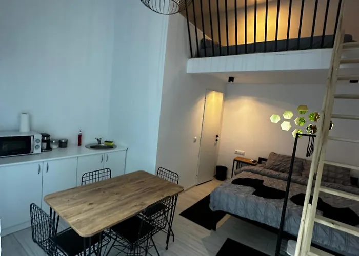 Ana Boutique Pensjonat Kluż-Napoka